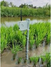 村田助力智慧農業發展 搶占智慧農業先機