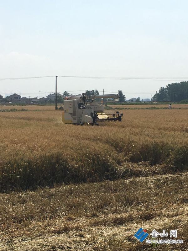 &ldquo;智慧農(nóng)機&rdquo;助力夏收夏種的交響曲