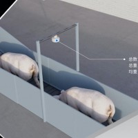 大天眼 智能售豬，輕松又省心