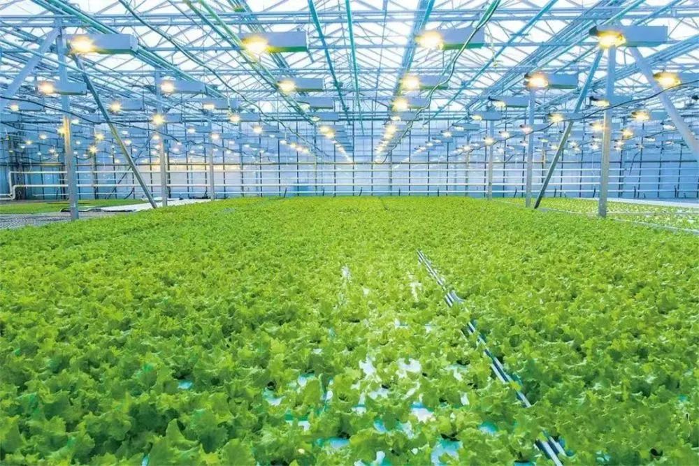 2023年中國農食系統十大趨勢，引發農業產業鏈變革